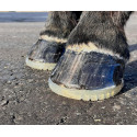 Languettes de fixation StealthTab pour EasyShoe sur cheval