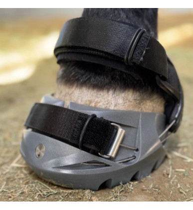 Renegade VIPER hipposandale édition limitée