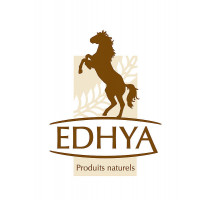 Edhya
